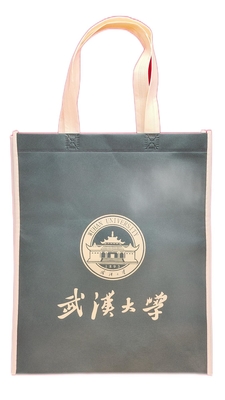Le textile tissé d'OEM pp a stratifié l'impression d'écran de couleur simple des sacs 120g